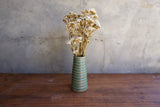 Green Ribbed Vase