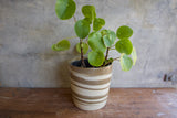 Marble Planter