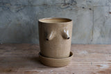 Boob Planter