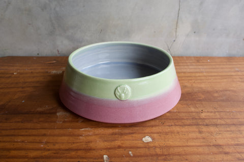 Dog Bowl